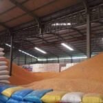 standar mutu jagung untuk pabrik pakan