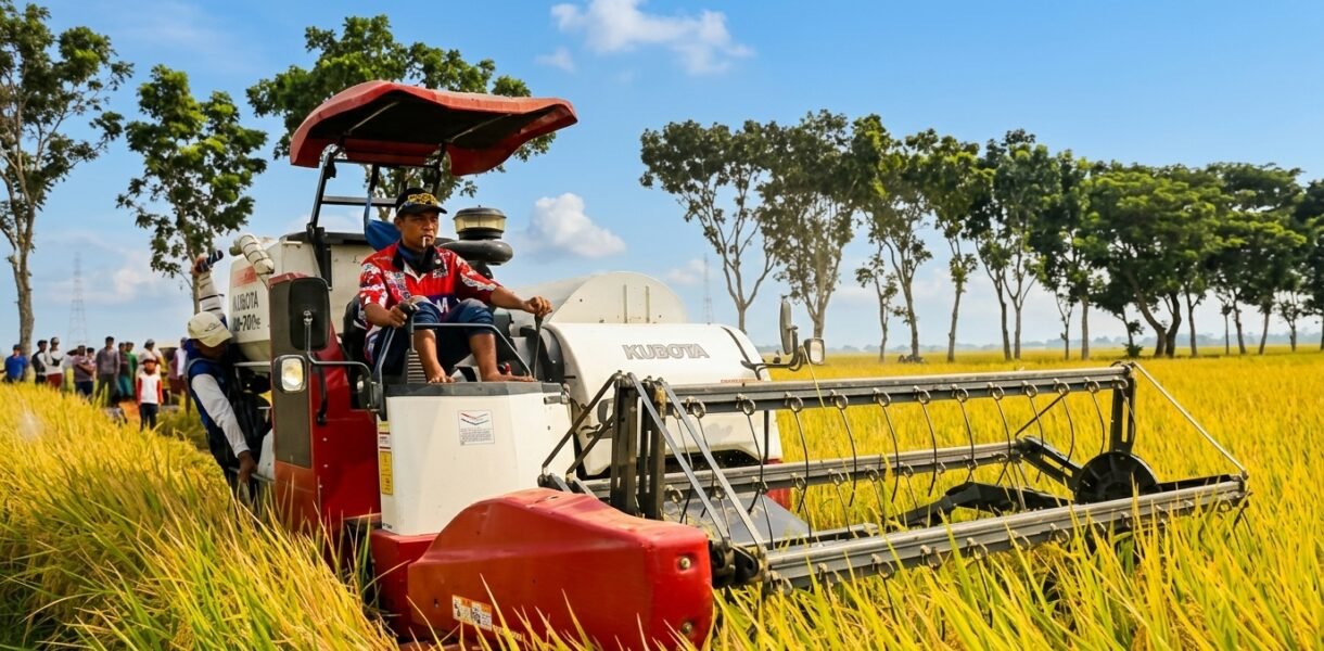 usaha jasa panen padi modern